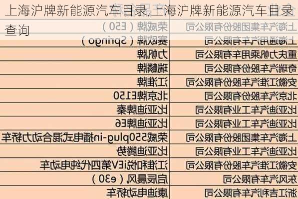 上海沪牌新能源汽车目录,上海沪牌新能源汽车目录查询-第2张图片-苏希特新能源