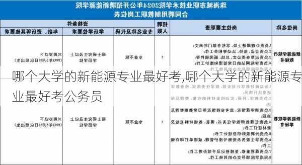 哪个大学的新能源专业最好考,哪个大学的新能源专业最好考公务员-第1张图片-苏希特新能源