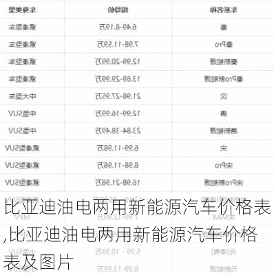 比亚迪油电两用新能源汽车价格表,比亚迪油电两用新能源汽车价格表及图片-第2张图片-苏希特新能源