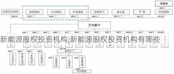 新能源股权投资机构,新能源股权投资机构有哪些-第2张图片-苏希特新能源