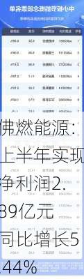 佛燃能源：上半年实现净利润2.89亿元 同比增长5.44%-第1张图片-苏希特新能源