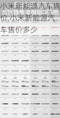 小米新能源汽车售价,小米新能源汽车售价多少-第3张图片-苏希特新能源