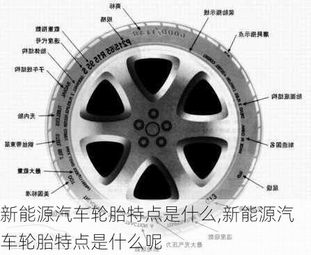 新能源汽车轮胎特点是什么,新能源汽车轮胎特点是什么呢-第3张图片-苏希特新能源