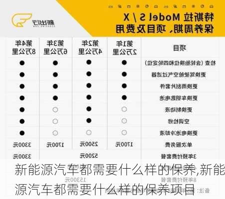 新能源汽车都需要什么样的保养,新能源汽车都需要什么样的保养项目