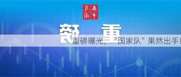 重磅曝光，“国家队”果然出手！-第1张图片-苏希特新能源