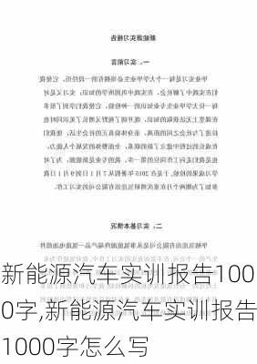 新能源汽车实训报告1000字,新能源汽车实训报告1000字怎么写-第2张图片-苏希特新能源