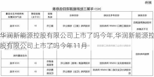 华润新能源控股有限公司上市了吗今年,华润新能源控股有限公司上市了吗今年11月-第2张图片-苏希特新能源