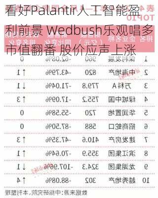 看好Palantir人工智能盈利前景 Wedbush乐观唱多市值翻番 股价应声上涨-第3张图片-苏希特新能源