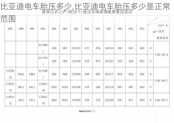 比亚迪电车胎压多少,比亚迪电车胎压多少是正常范围-第3张图片-苏希特新能源