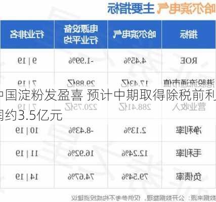 中国淀粉发盈喜 预计中期取得除税前利润约3.5亿元-第1张图片-苏希特新能源