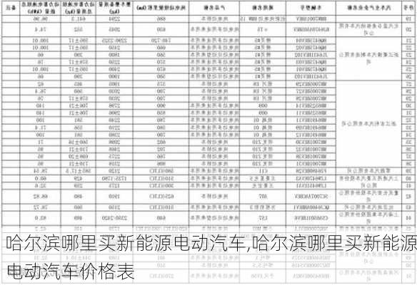 哈尔滨哪里买新能源电动汽车,哈尔滨哪里买新能源电动汽车价格表-第2张图片-苏希特新能源