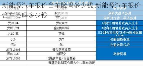 新能源汽车报价含车险吗多少钱,新能源汽车报价含车险吗多少钱一辆-第3张图片-苏希特新能源