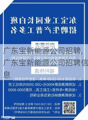 广东宝新能源公司招聘,广东宝新能源公司招聘信息-第2张图片-苏希特新能源