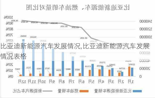 比亚迪新能源汽车发展情况,比亚迪新能源汽车发展情况表格-第2张图片-苏希特新能源