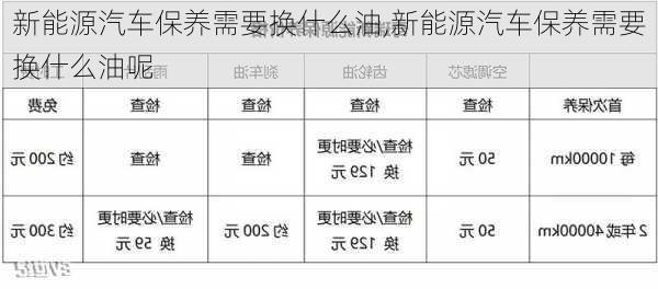 新能源汽车保养需要换什么油,新能源汽车保养需要换什么油呢-第3张图片-苏希特新能源