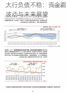 大行负债不稳：资金面波动与未来展望