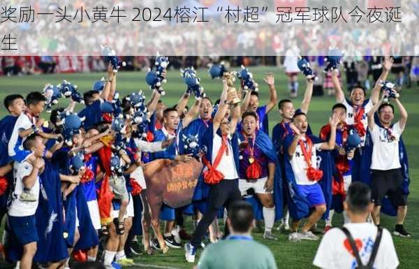 奖励一头小黄牛 2024榕江“村超”冠军球队今夜诞生-第3张图片-苏希特新能源