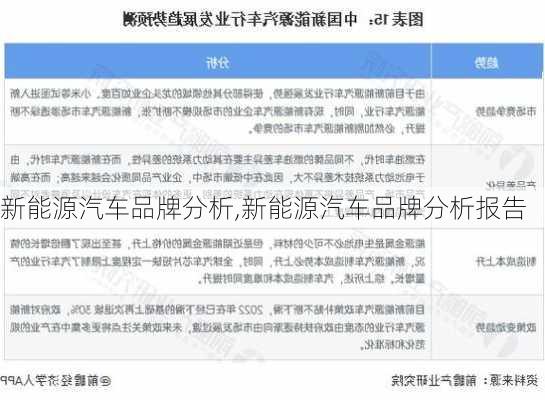 新能源汽车品牌分析,新能源汽车品牌分析报告-第1张图片-苏希特新能源