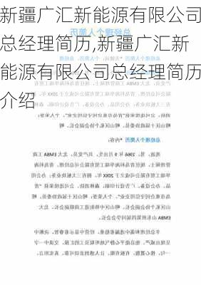 新疆广汇新能源有限公司总经理简历,新疆广汇新能源有限公司总经理简历介绍-第1张图片-苏希特新能源