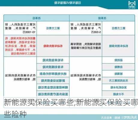 新能源买保险买哪些,新能源买保险买哪些险种-第3张图片-苏希特新能源