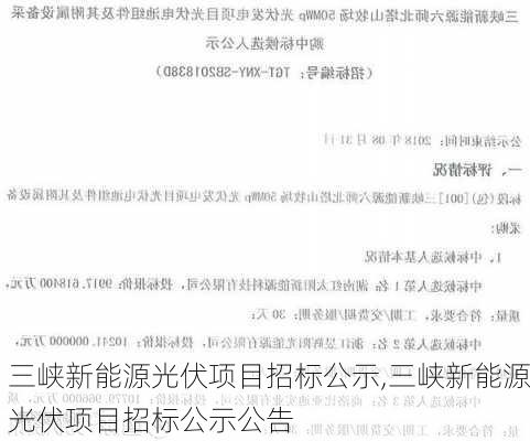 三峡新能源光伏项目招标公示,三峡新能源光伏项目招标公示公告-第3张图片-苏希特新能源