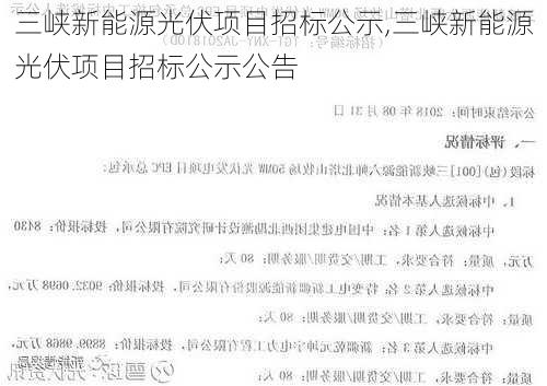 三峡新能源光伏项目招标公示,三峡新能源光伏项目招标公示公告-第2张图片-苏希特新能源