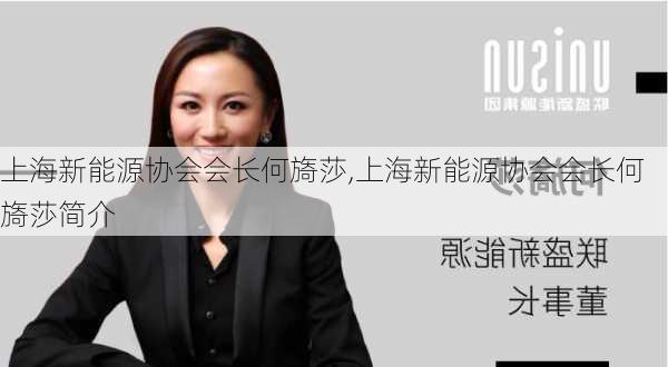 上海新能源协会会长何旖莎,上海新能源协会会长何旖莎简介-第2张图片-苏希特新能源