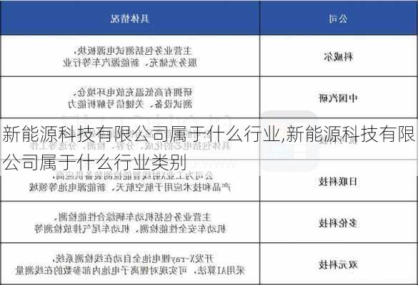 新能源科技有限公司属于什么行业,新能源科技有限公司属于什么行业类别-第2张图片-苏希特新能源