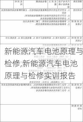 新能源汽车电池原理与检修,新能源汽车电池原理与检修实训报告-第1张图片-苏希特新能源