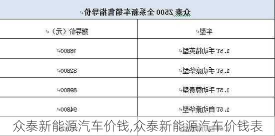 众泰新能源汽车价钱,众泰新能源汽车价钱表-第2张图片-苏希特新能源