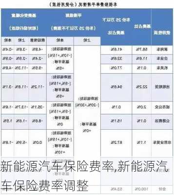 新能源汽车保险费率,新能源汽车保险费率调整-第2张图片-苏希特新能源