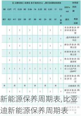 新能源保养周期表,比亚迪新能源保养周期表-第3张图片-苏希特新能源