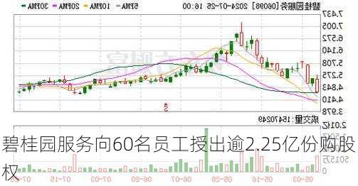 碧桂园服务向60名员工授出逾2.25亿份购股权-第3张图片-苏希特新能源