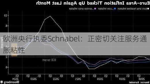 欧洲央行执委Schnabel：正密切关注服务通胀粘性-第3张图片-苏希特新能源