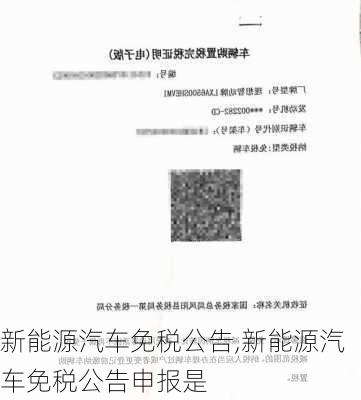 新能源汽车免税公告,新能源汽车免税公告申报是-第2张图片-苏希特新能源