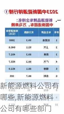 新能源燃料公司有哪些,新能源燃料公司有哪些部门-第1张图片-苏希特新能源