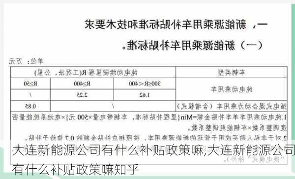 大连新能源公司有什么补贴政策嘛,大连新能源公司有什么补贴政策嘛知乎-第3张图片-苏希特新能源