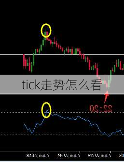 tick走势怎么看-第1张图片-苏希特新能源