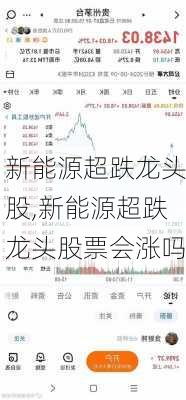 新能源超跌龙头股,新能源超跌龙头股票会涨吗