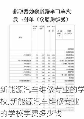 新能源汽车维修专业的学校,新能源汽车维修专业的学校学费多少钱-第1张图片-苏希特新能源