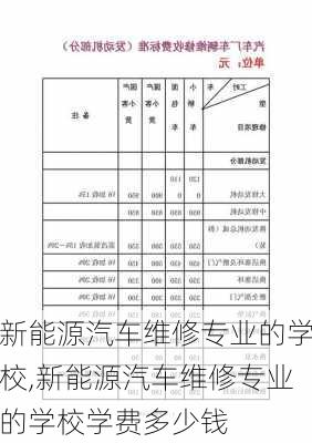 新能源汽车维修专业的学校,新能源汽车维修专业的学校学费多少钱-第2张图片-苏希特新能源