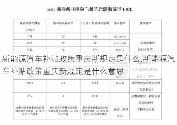 新能源汽车补贴政策重庆新规定是什么,新能源汽车补贴政策重庆新规定是什么意思-第2张图片-苏希特新能源