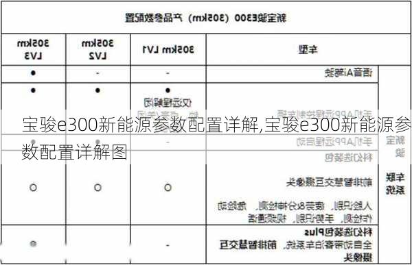 宝骏e300新能源参数配置详解,宝骏e300新能源参数配置详解图-第1张图片-苏希特新能源