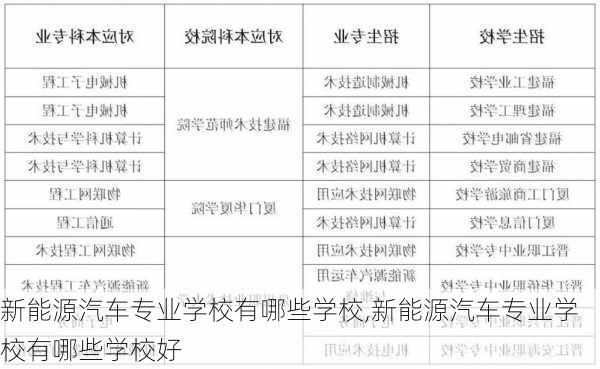 新能源汽车专业学校有哪些学校,新能源汽车专业学校有哪些学校好-第1张图片-苏希特新能源