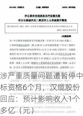 涉严重质量问题遭暂停中标资格6个月，汉缆股份回应：预计影响收入1个多亿（元）-第2张图片-苏希特新能源