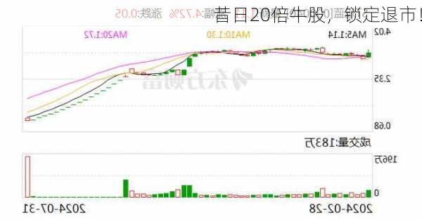 昔日20倍牛股，锁定退市！-第2张图片-苏希特新能源