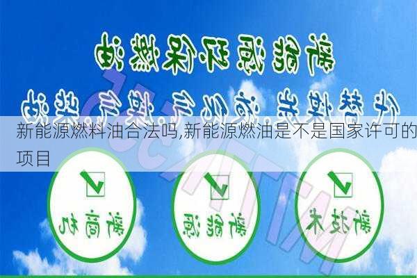 新能源燃料油合法吗,新能源燃油是不是国家许可的项目-第3张图片-苏希特新能源