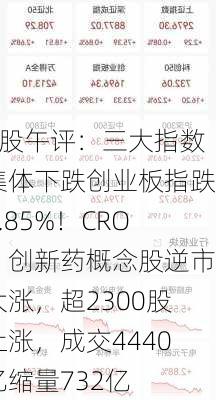 A股午评：三大指数集体下跌创业板指跌0.85%！CRO、创新药概念股逆市大涨，超2300股上涨，成交4440亿缩量732亿-第1张图片-苏希特新能源