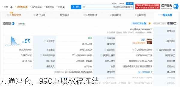 万通冯仑，990万股权被冻结-第3张图片-苏希特新能源