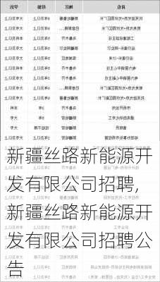 新疆丝路新能源开发有限公司招聘,新疆丝路新能源开发有限公司招聘公告